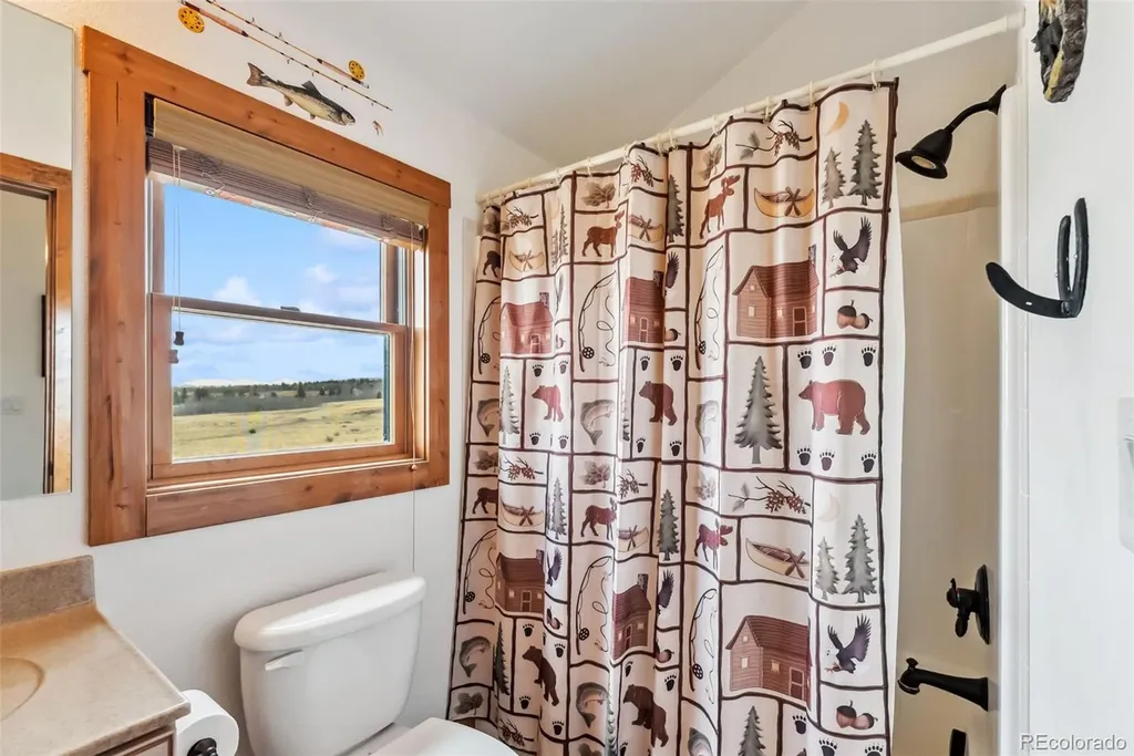 268 Fuller Drive Fairplay CO 80440