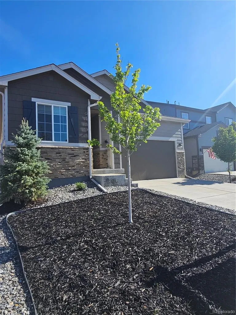 63 N Edge Cliff Street Castle Rock CO 80104