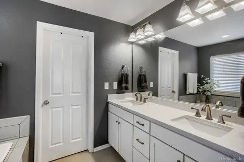2728 Garganey Drive Castle Rock CO 80104