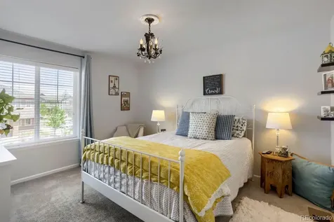 2728 Garganey Drive Castle Rock CO 80104