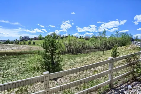 2728 Garganey Drive Castle Rock CO 80104