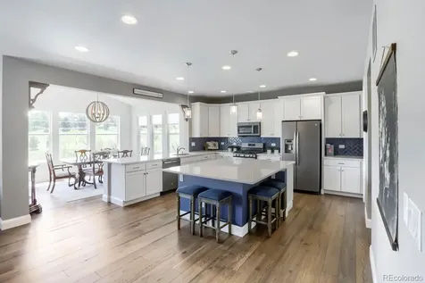 2728 Garganey Drive Castle Rock CO 80104