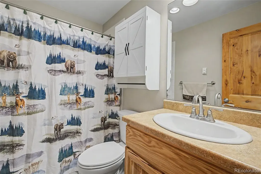 6726 Ryan Gulch Road Silverthorne CO 80498