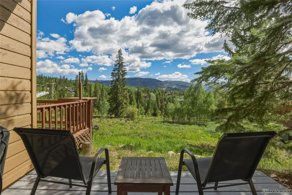 6726 Ryan Gulch Road Silverthorne CO 80498