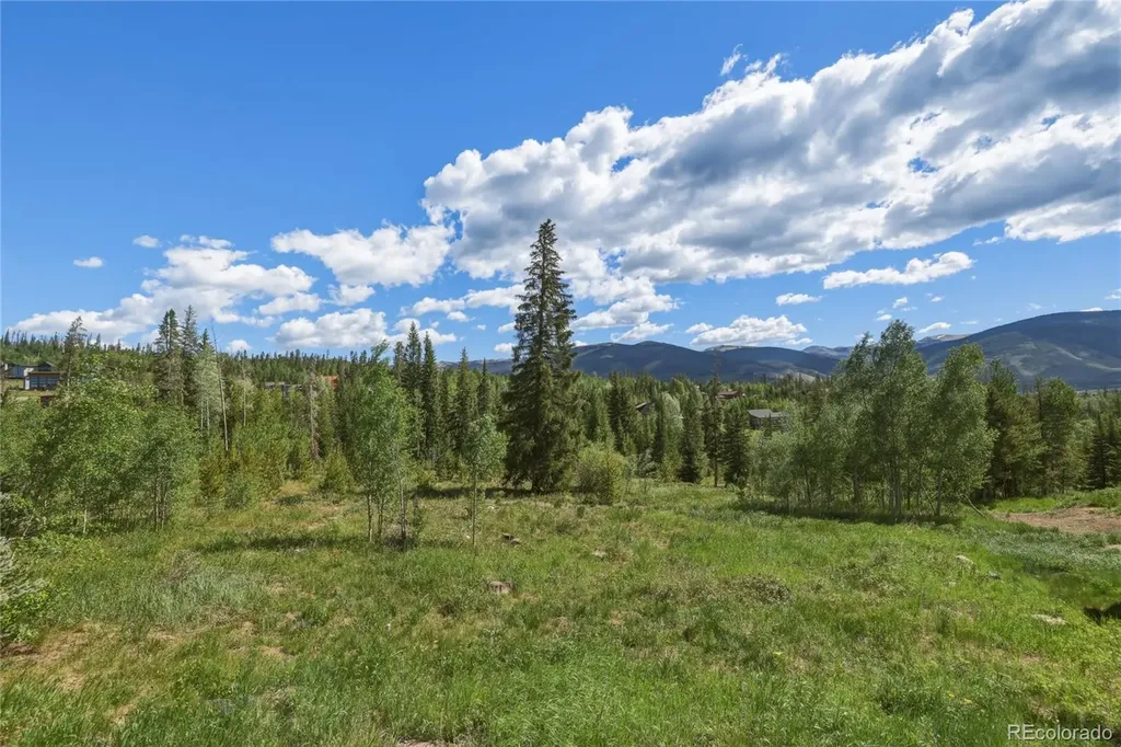 6726 Ryan Gulch Road Silverthorne CO 80498