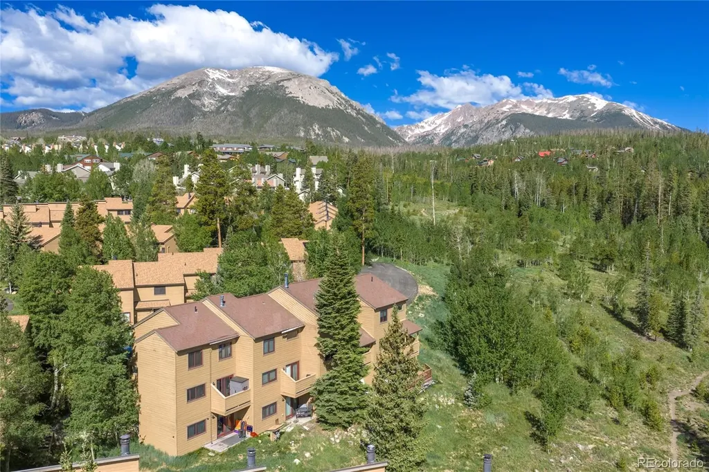 6726 Ryan Gulch Road Silverthorne CO 80498