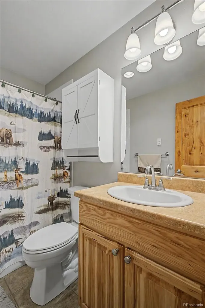6726 Ryan Gulch Road Silverthorne CO 80498