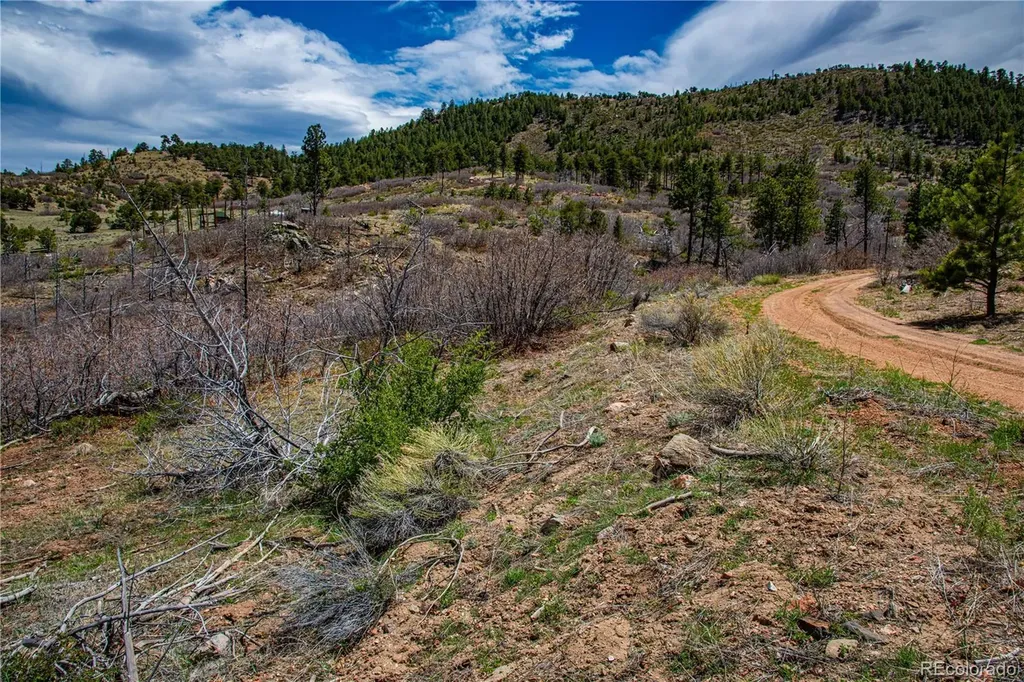 221 Cottonwood Drive Cotopaxi CO 81223
