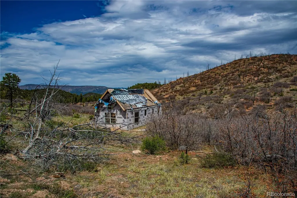 221 Cottonwood Drive Cotopaxi CO 81223
