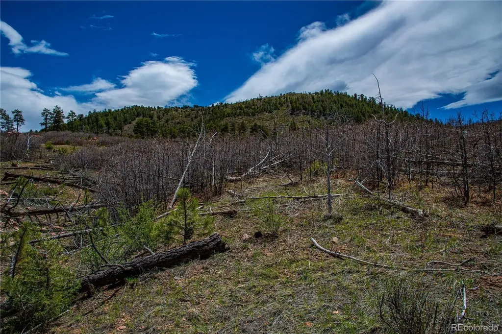 221 Cottonwood Drive Cotopaxi CO 81223