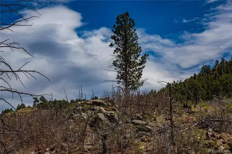 221 Cottonwood Drive Cotopaxi CO 81223