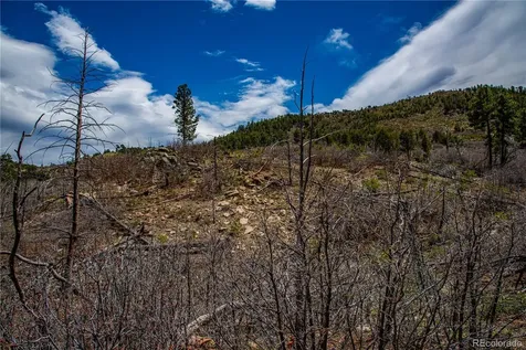 221 Cottonwood Drive Cotopaxi CO 81223