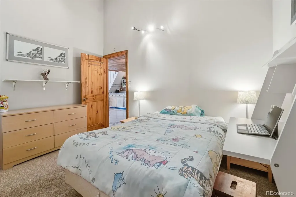 2424 Ryan Gulch Court Silverthorne CO 80498