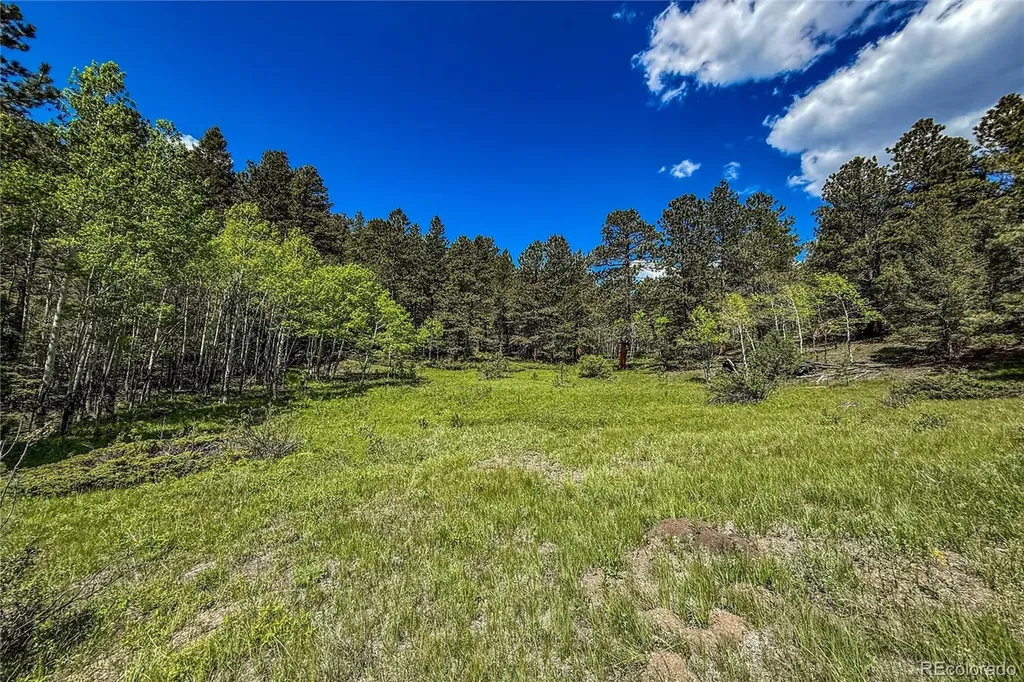 18673 State Highway 7 Lyons CO 80540