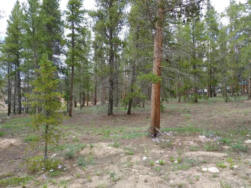 849 Topaz Street Leadville CO 80461