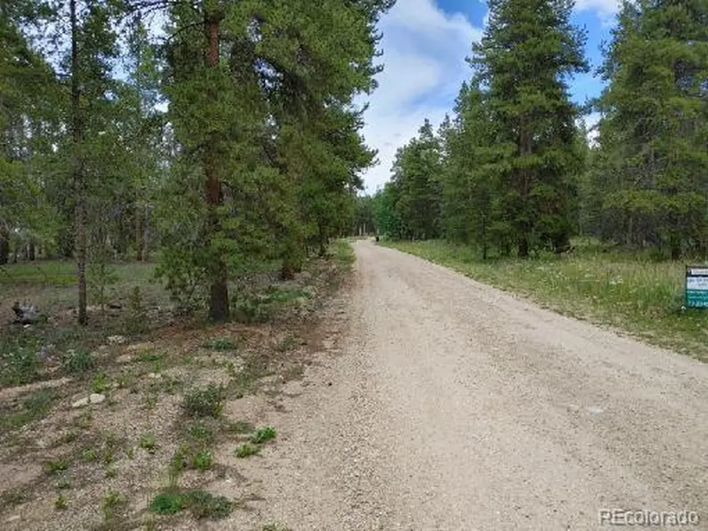 849 Topaz Street Leadville CO 80461