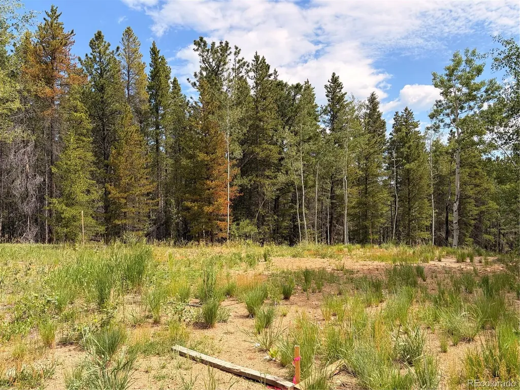 5940 Virginia Canyon Road Central City CO 80427