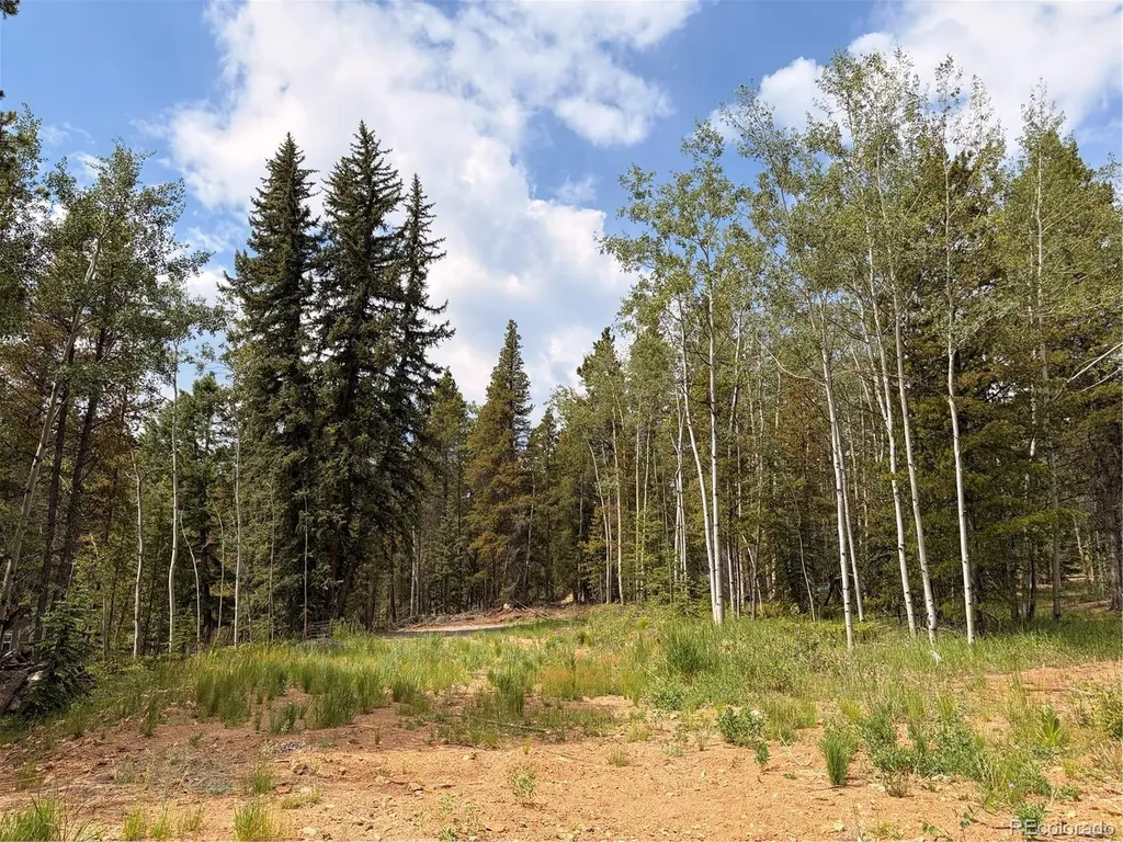 5940 Virginia Canyon Road Black Hawk CO 80422