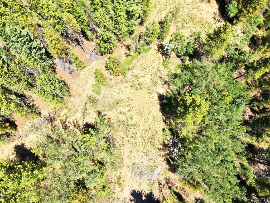 5940 Virginia Canyon Road Black Hawk CO 80422