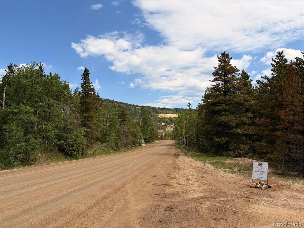 5940 Virginia Canyon Road Central City CO 80427