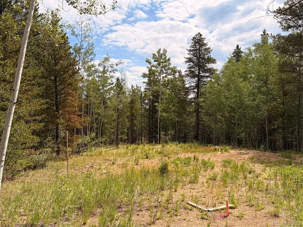 5940 Virginia Canyon Road Central City CO 80427