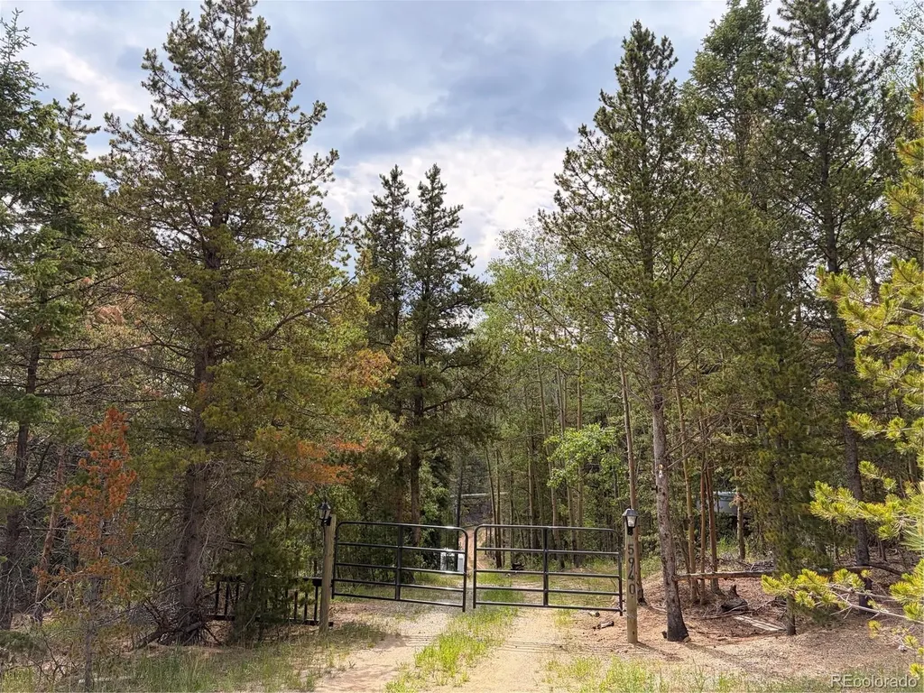 5940 Virginia Canyon Road Black Hawk CO 80422