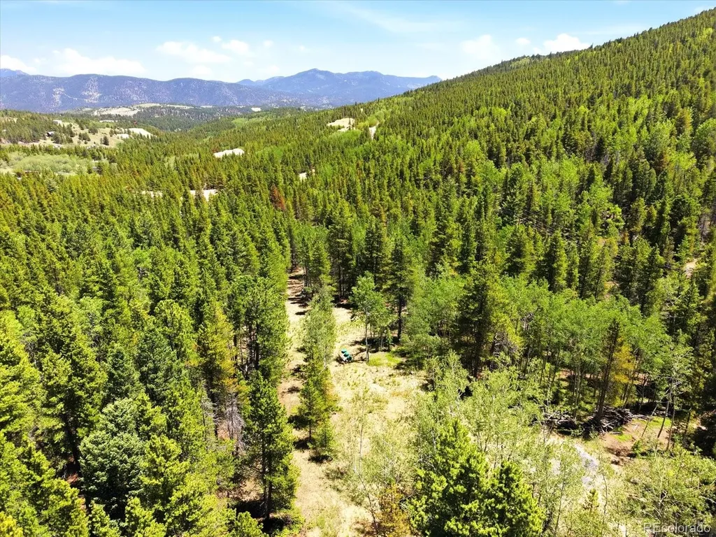 5940 Virginia Canyon Road Black Hawk CO 80422