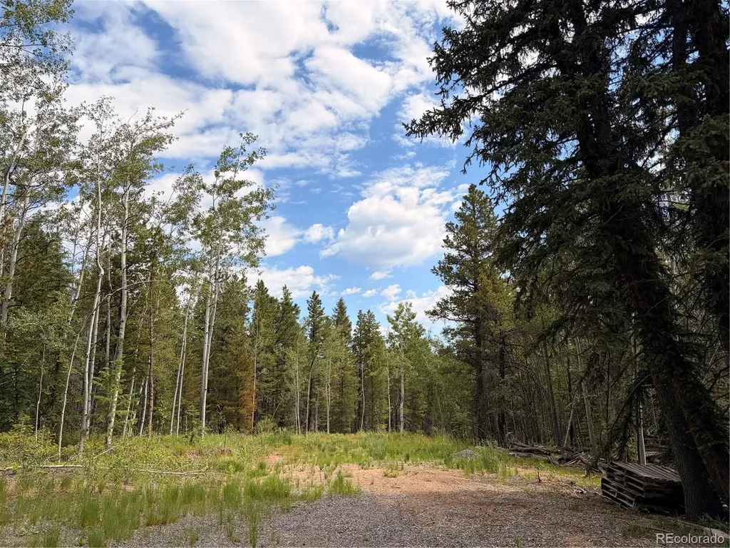 5940 Virginia Canyon Road Central City CO 80427