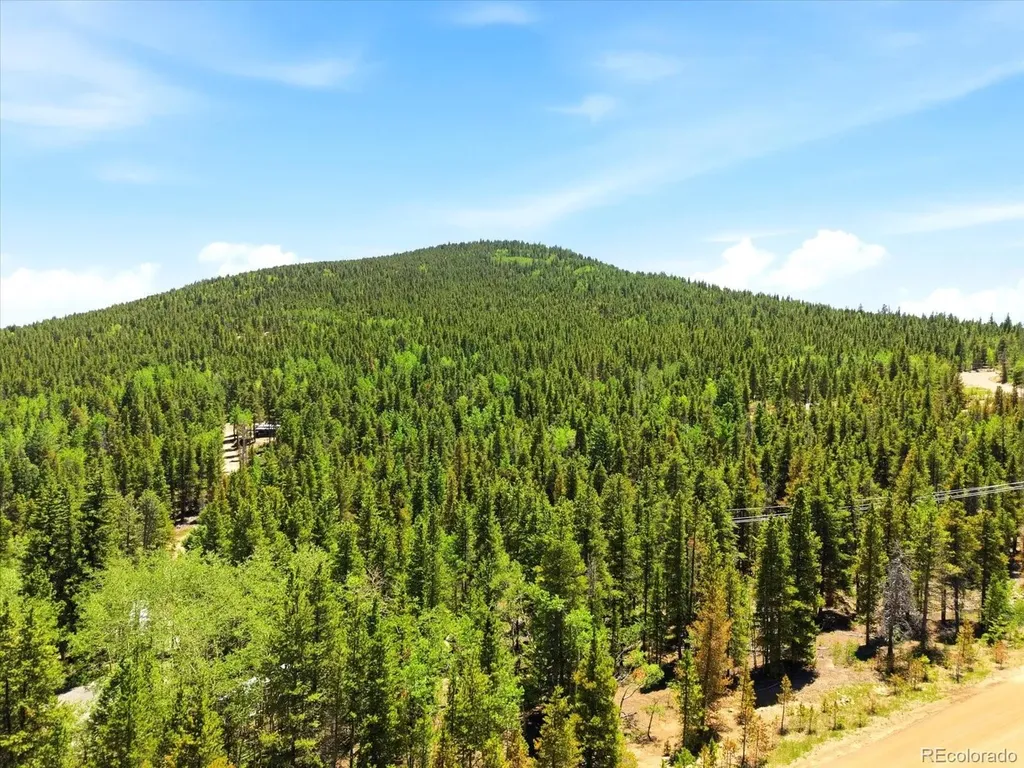5940 Virginia Canyon Road Black Hawk CO 80422