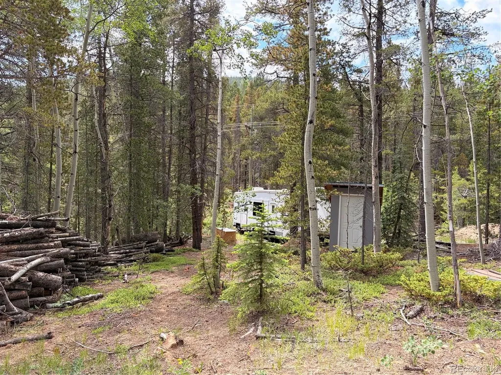 5940 Virginia Canyon Road Black Hawk CO 80422