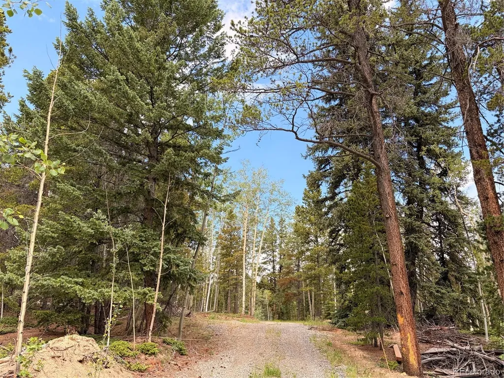 5940 Virginia Canyon Road Central City CO 80427