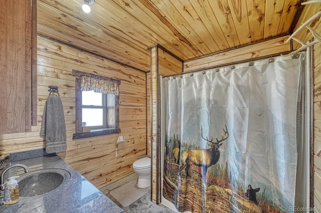 143 Jester Court Westcliffe CO 81252