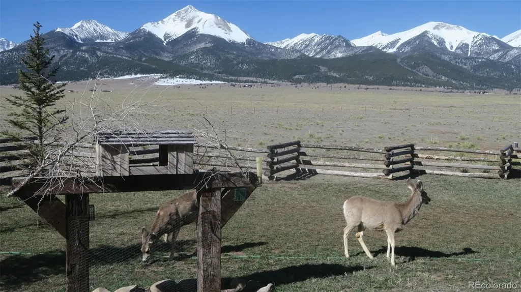 143 Jester Court Westcliffe CO 81252