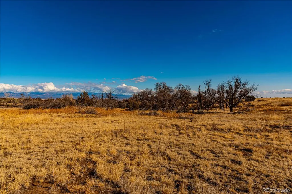 0 County Road 106 Wetmore CO 81253