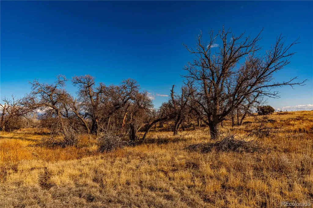 0 County Road 106 Wetmore CO 81253
