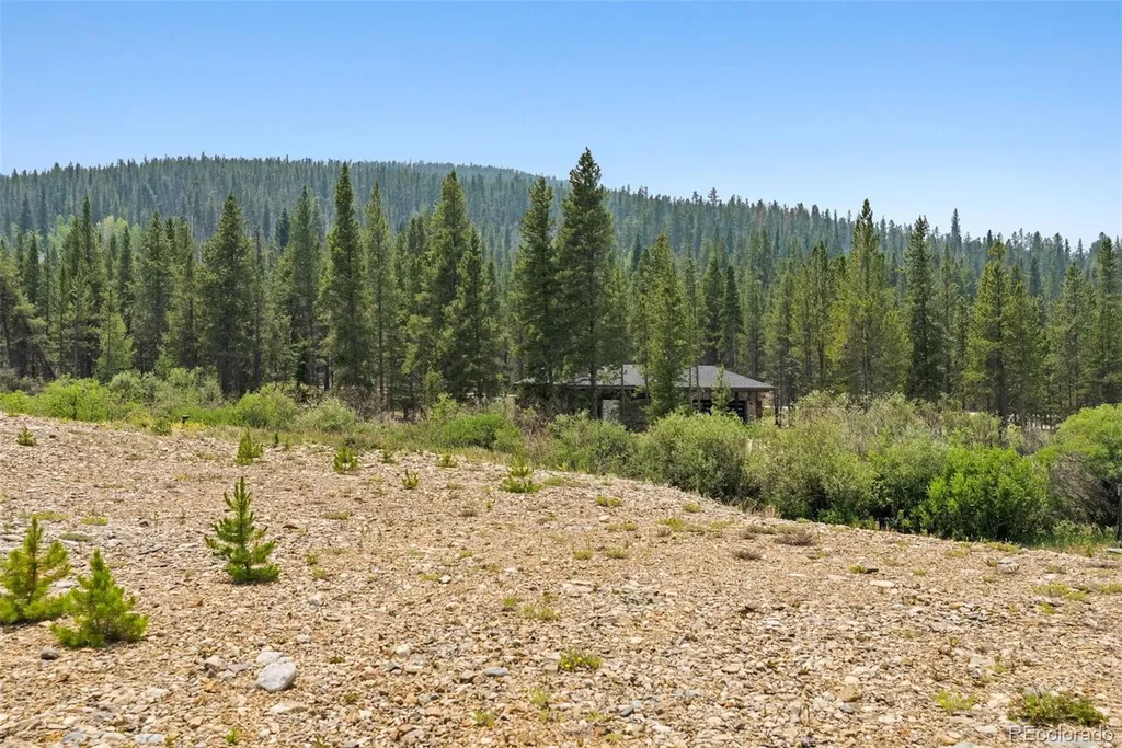 2383 Tiger Road Breckenridge CO 80424