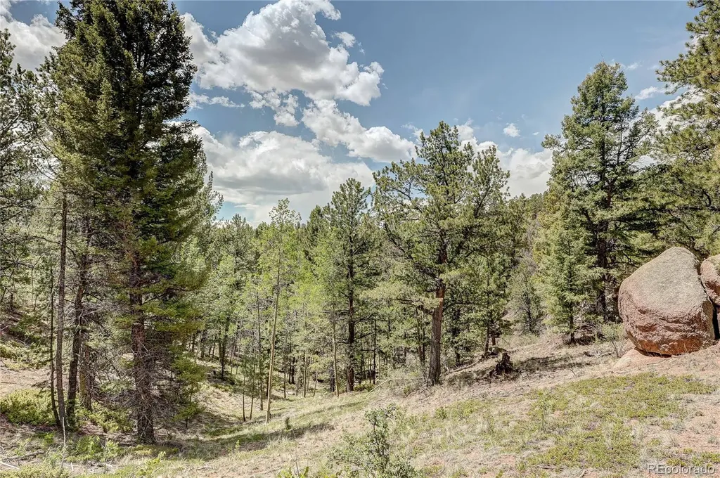 59 Robin Point Divide CO 80814