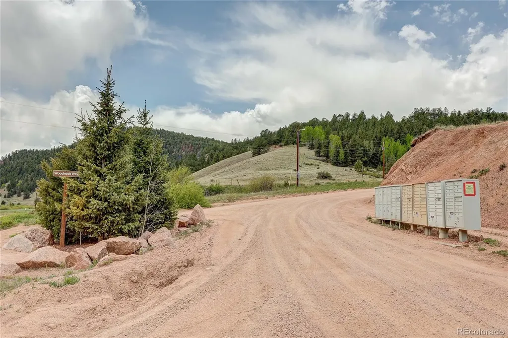 59 Robin Point Divide CO 80814