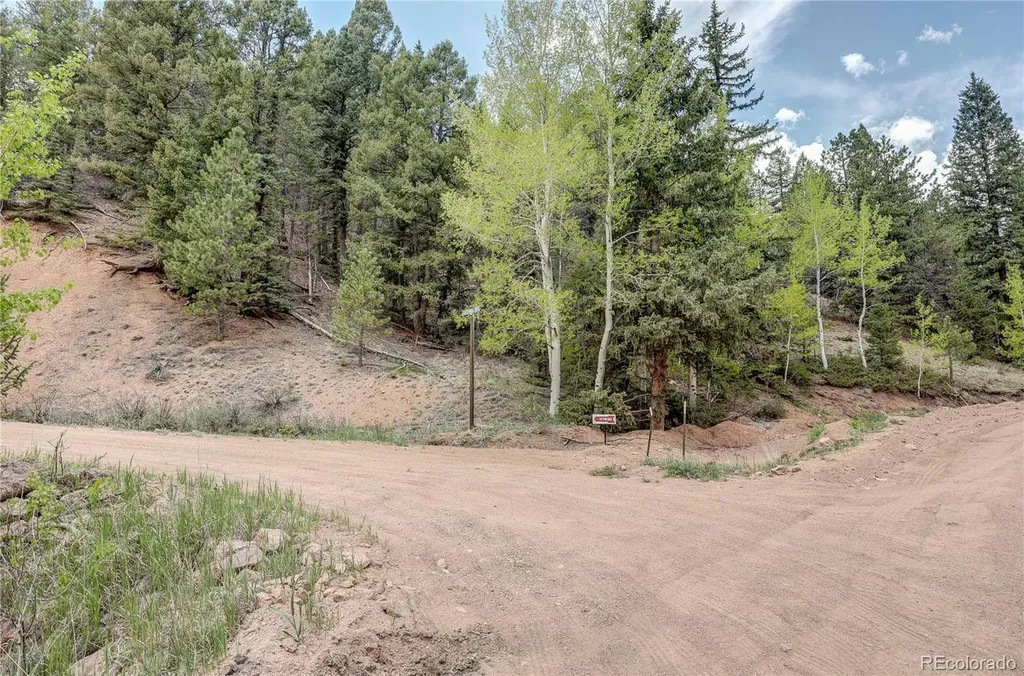 59 Robin Point Divide CO 80814