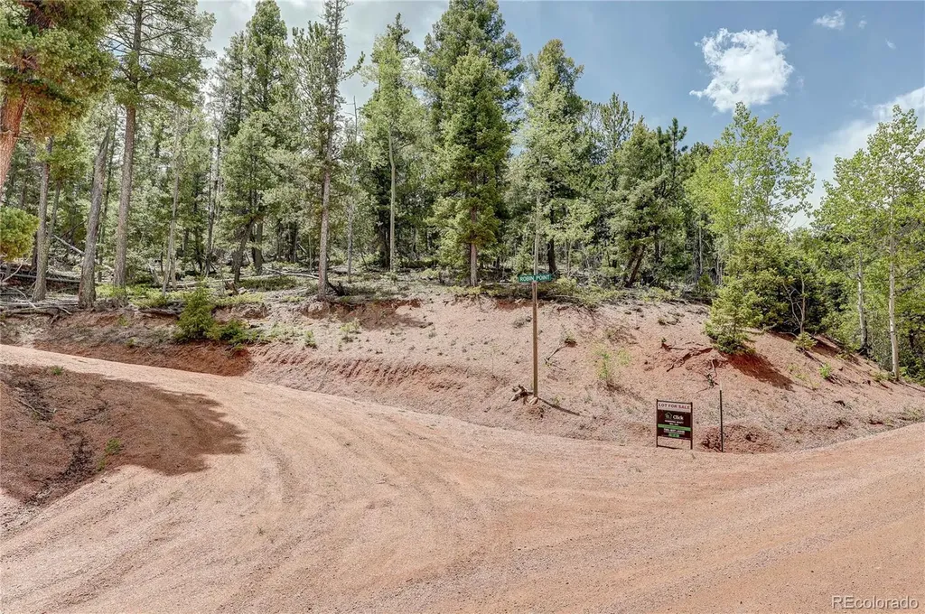 59 Robin Point Divide CO 80814