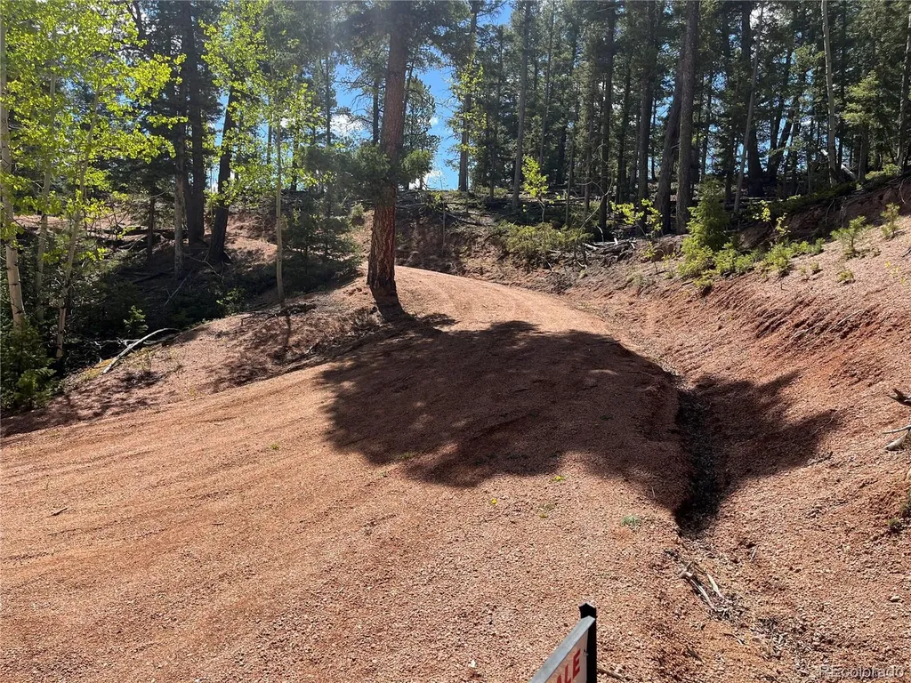 59 Robin Point Divide CO 80814