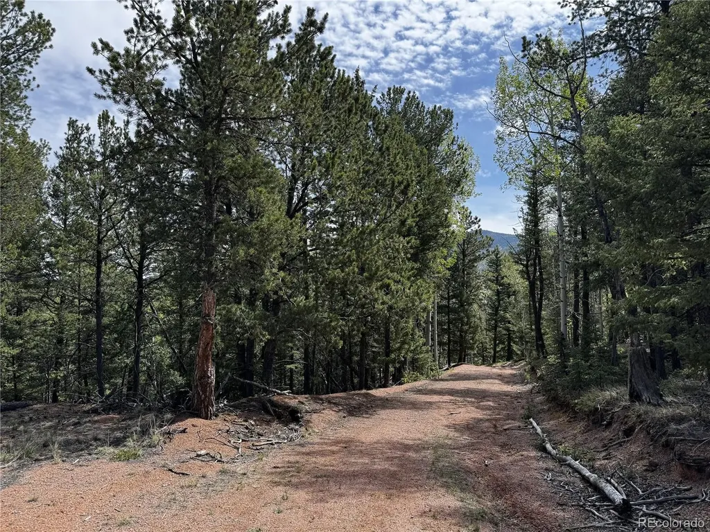 59 Robin Point Divide CO 80814