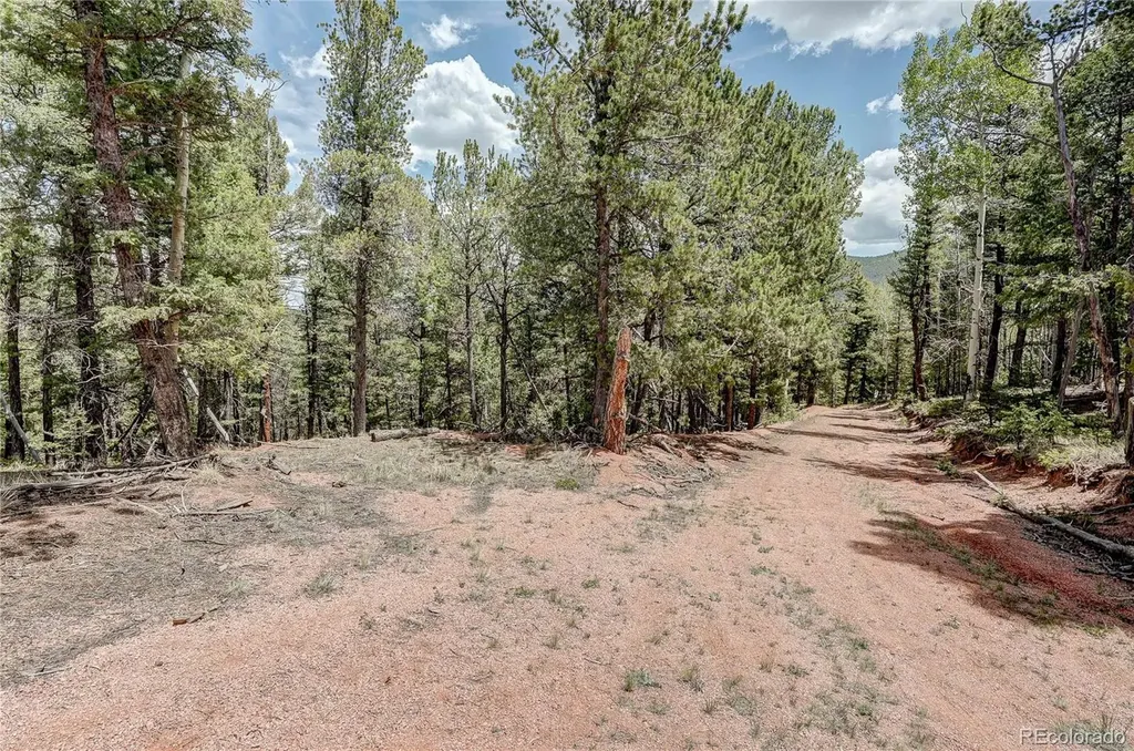 59 Robin Point Divide CO 80814