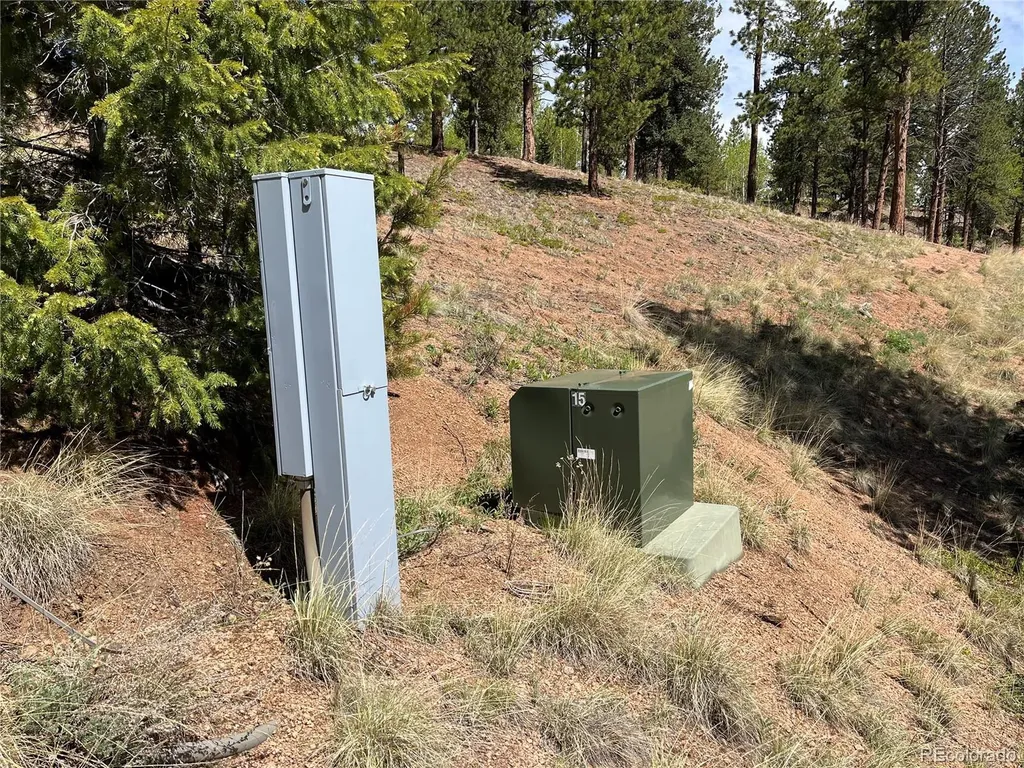 59 Robin Point Divide CO 80814