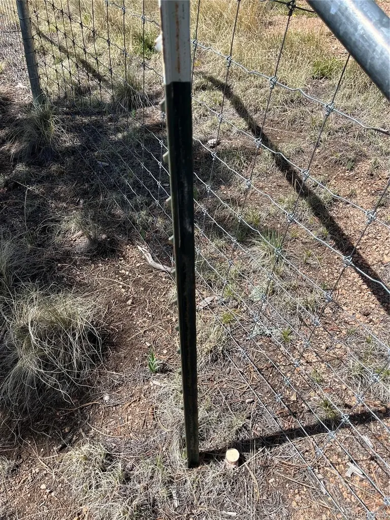 59 Robin Point Divide CO 80814