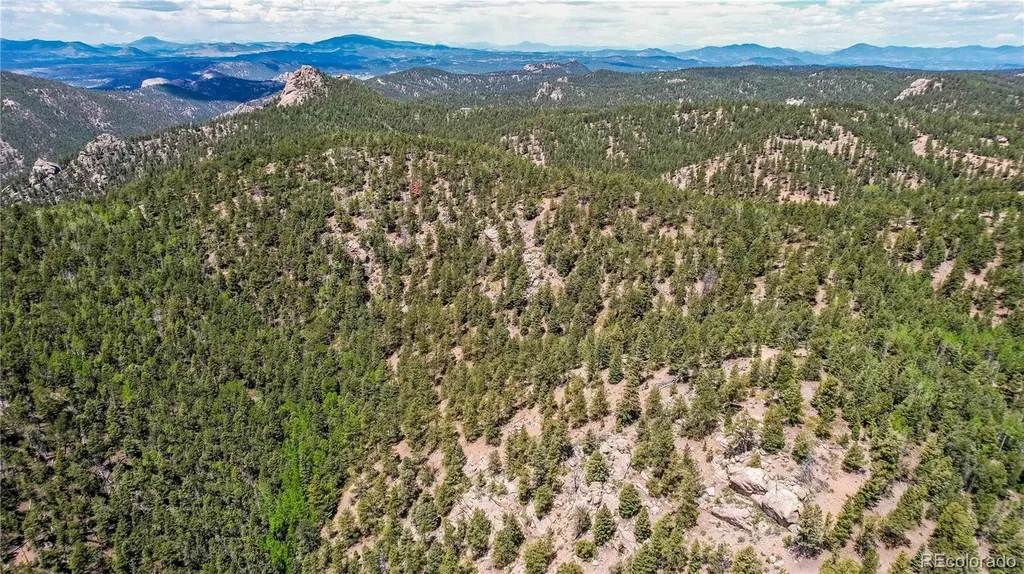 59 Robin Point Divide CO 80814