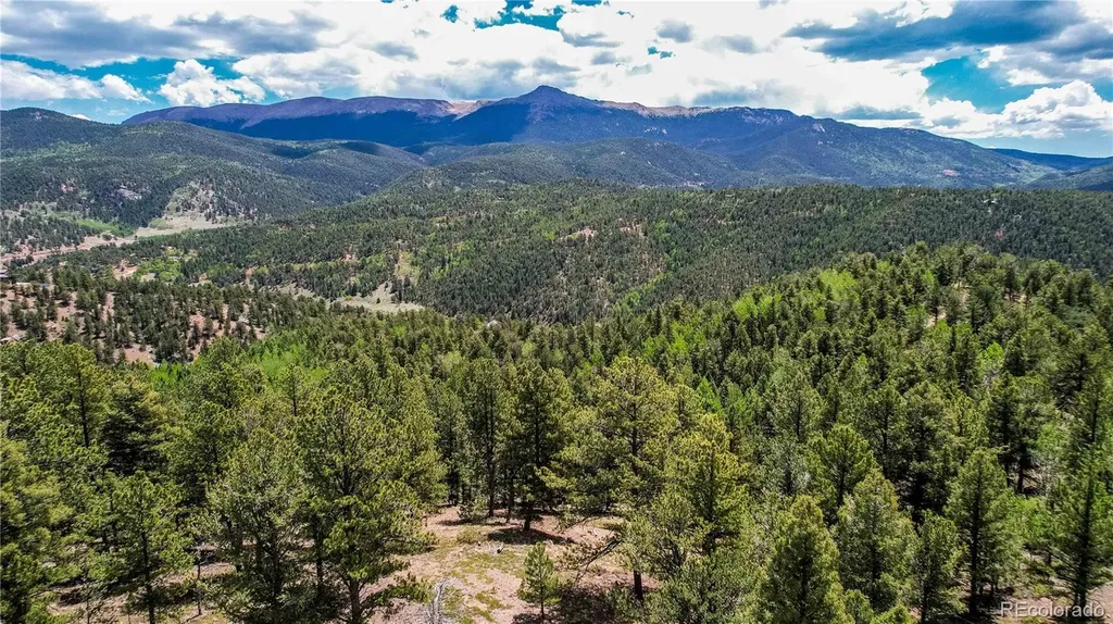 59 Robin Point Divide CO 80814