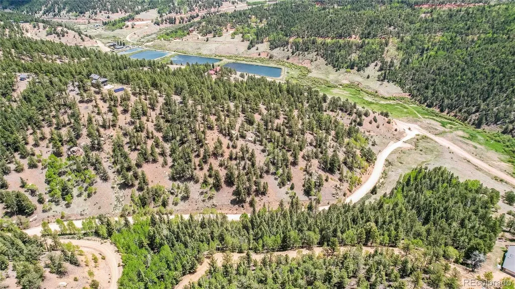 59 Robin Point Divide CO 80814