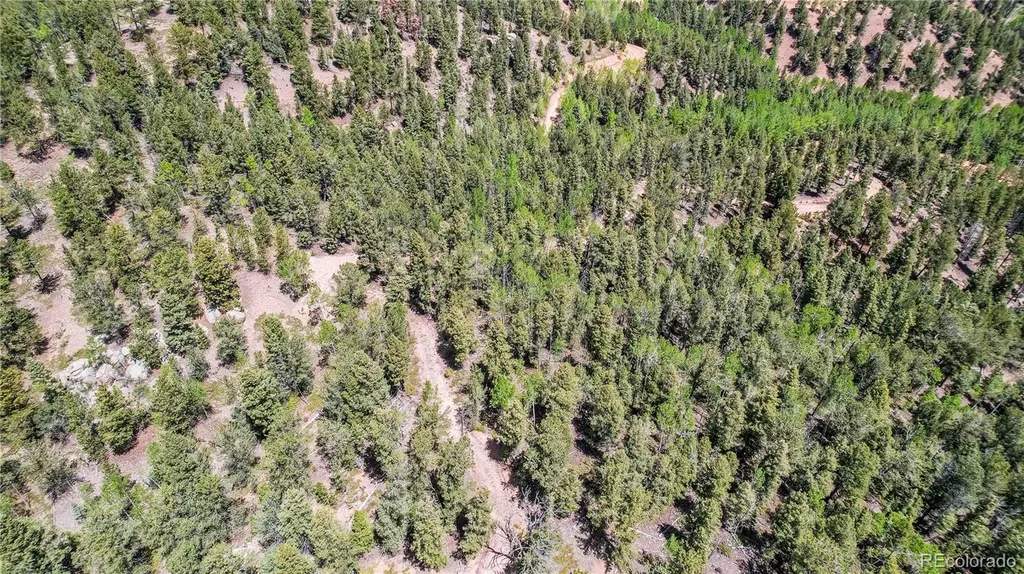 59 Robin Point Divide CO 80814