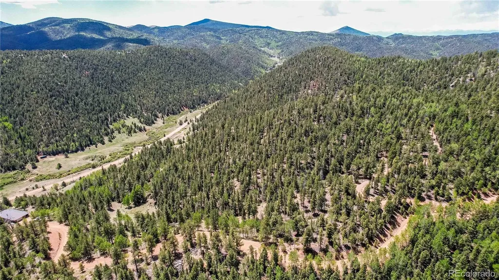 59 Robin Point Divide CO 80814